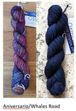 kit: 141 - Sand and Sea Shawlette kit
