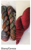 kit: 141 - Sand and Sea Shawlette kit