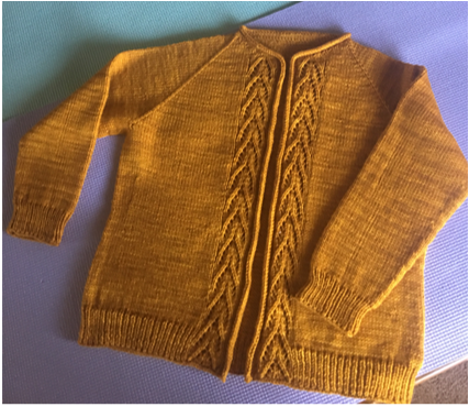 Meseta Cardigan Class (group class) - June 23